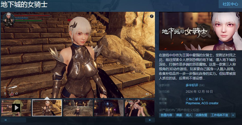 图片[2]-【3D/ACT】地下城的女骑士（地下城の女騎士）STEAM官中步兵-晴雨免费资源库
